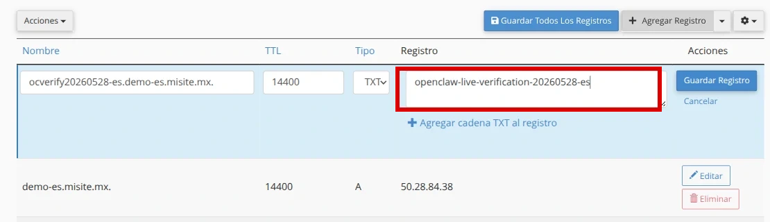 Completa el formulario para un registro TXT en cPanel